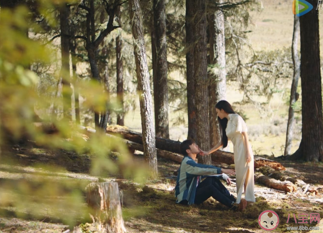 司藤和秦放有感情線嗎 司藤和秦放結(jié)局最后在一起了嗎