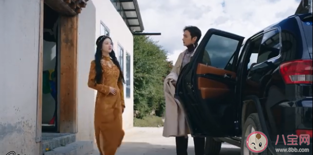 秦放是白英的后代嗎 秦放和司藤有血緣關系嗎