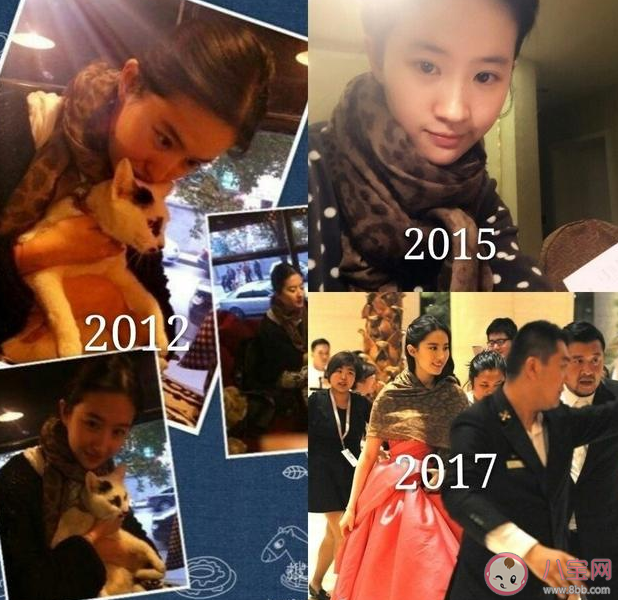 劉亦菲用了18年的椅子是怎樣的 還有9年的圍巾10年的羽絨服