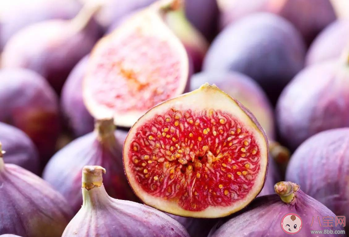 無花果一天吃多少個最好 無花果吃多了會上火嗎