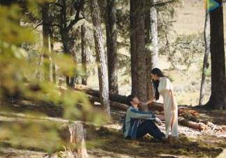 司藤和秦放有感情線嗎 司藤和秦放結(jié)局最后在一起了嗎