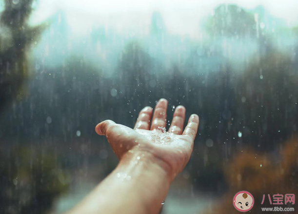 春季是除濕的好時節嗎 為什么春天容易濕氣重