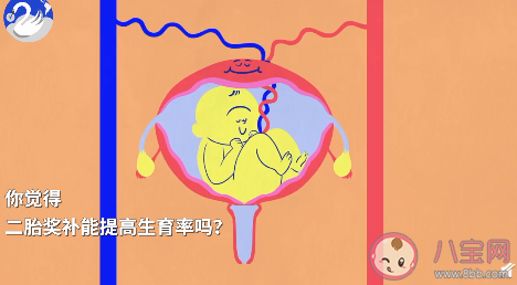 二胎獎補能提高生育率嗎 當代人不生二胎的原因