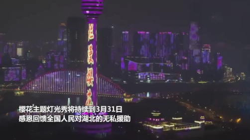 2021武漢櫻花主題燈光秀幾點開始 武漢櫻花主題燈光秀在哪看