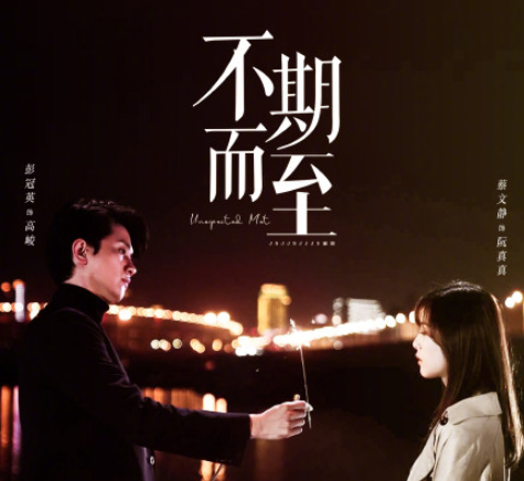 電視劇《不期而至》講的是什么 彭冠英蔡文靜再次合作了嗎