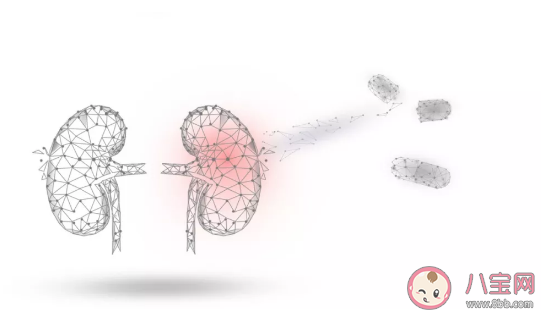 慢性腎病患者有哪些癥狀 慢性腎病患者注意事項