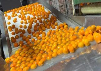 果農稱從來不吃泡藥沃柑是怎么回事 沃柑浸抑菌藥后直接上市是真的嗎