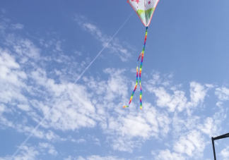 風箏線殺傷力到底有多大 放風箏安全攻略