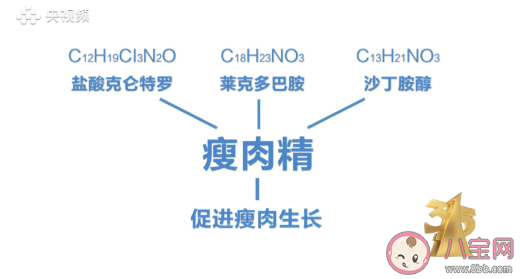 瘦肉精羊肉有哪些危害 瘦肉精羊肉怎樣識別