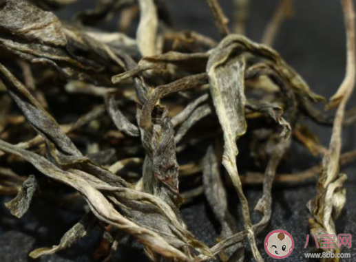 中國首次發現云南管蕊茶是怎么回事 云南管蕊茶為什么這么稀少