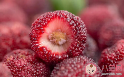 螞蟻莊園:楊梅掉色是添加了人工色素嗎 3月18日答案