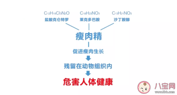吃了瘦肉精的羊肉對身體有什么影響 怎么避免買到瘦肉精的肉