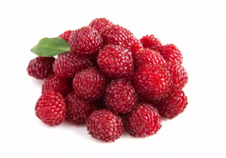 楊梅掉色是添加了人工色素嗎 楊梅為什么會掉色