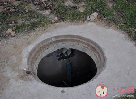 為什么最好不要往下水井扔鞭炮 螞蟻莊園3月19日答案