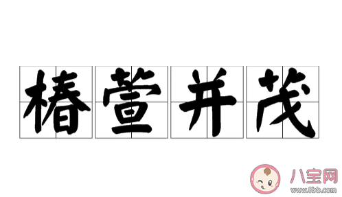 椿萱并茂指椿樹和萱草都茂盛用來比喻 最新螞蟻莊園3月19日答案