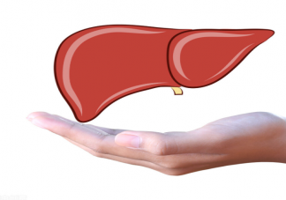 喝酒對(duì)肝臟傷害有多大 喝酒是怎么損害肝臟健康的
