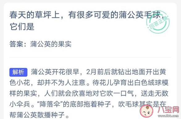 春天草坪上的蒲公英毛球是果實(shí)還是花 螞蟻莊園3月19日答案