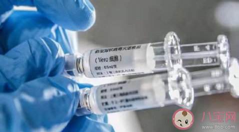 新冠疫苗選單針還是雙針 哪個(gè)品種的新冠疫苗更好