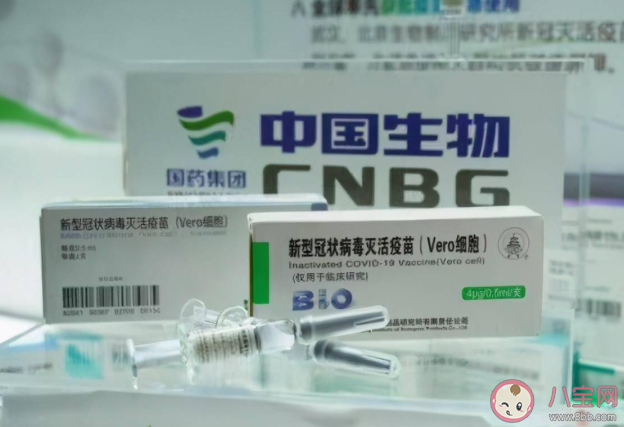 新冠疫苗單針和雙針哪個更好 單針接種和兩針接種新冠疫苗有什么區別 新冠疫苗單針和雙針哪個更好 單針接種和兩針接種新冠疫苗有什么區別