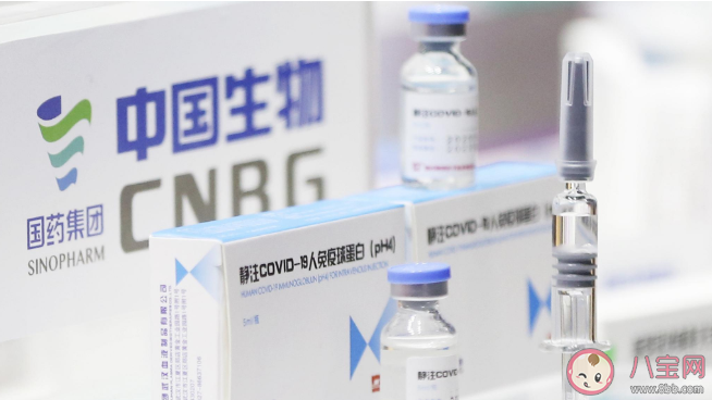 新冠疫苗單針和雙針哪個更好 單針接種和兩針接種新冠疫苗有什么區別 新冠疫苗單針和雙針哪個更好 單針接種和兩針接種新冠疫苗有什么區別