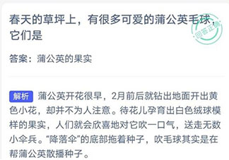 春天草坪上的蒲公英毛球是果實(shí)還是花 螞蟻莊園3月19日答案