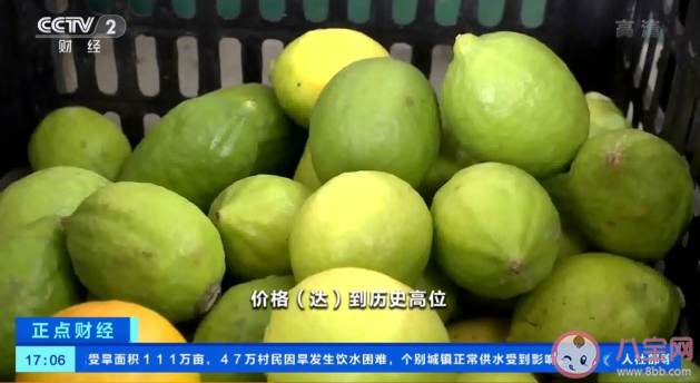 為什么檸檬的價格暴漲 檸檬價格上漲的原因