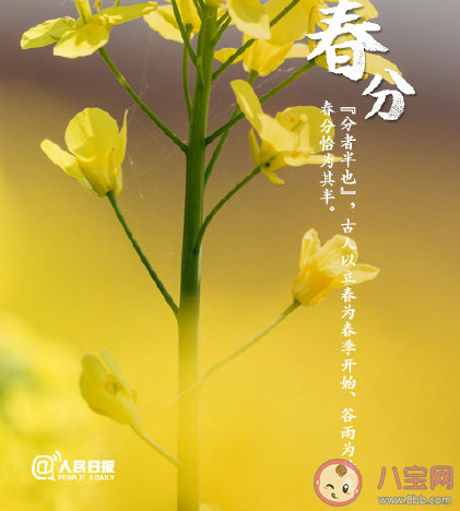 春分來(lái)了的正能量說(shuō)說(shuō) 今日春分積極陽(yáng)光句子 春分來(lái)了的正能量說(shuō)說(shuō) 今日春分積極陽(yáng)光句子