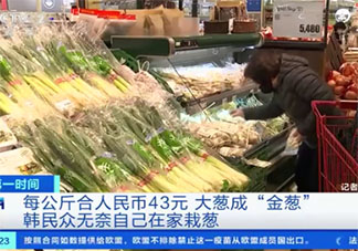 韓國大蔥漲至43元一公斤是怎么回事 全球食品價格持續上漲是為什么