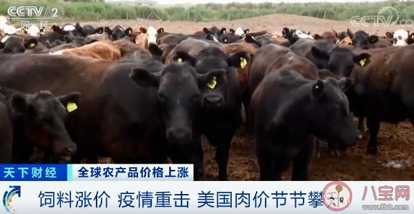 全球食品價格持續上漲是真的嗎 哪些食品價格漲幅最大 全球食品價格持續上漲是真的嗎 哪些食品價格漲幅最大