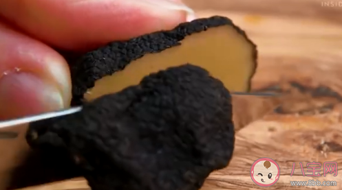 松露為何會如此珍貴 松露有什么營養(yǎng)價值