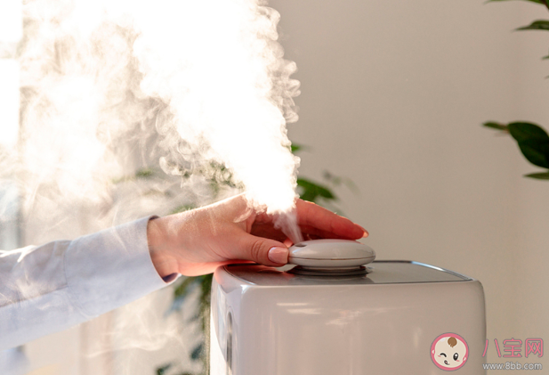 使用加濕器不當會導致肺炎嗎 如何避免加濕器肺炎