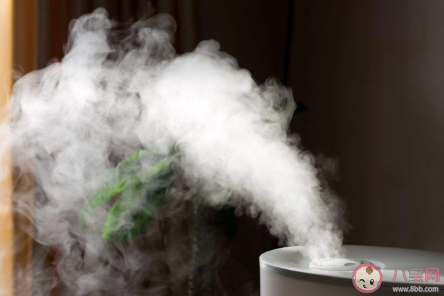 使用加濕器不當會導致肺炎嗎 如何避免加濕器肺炎
