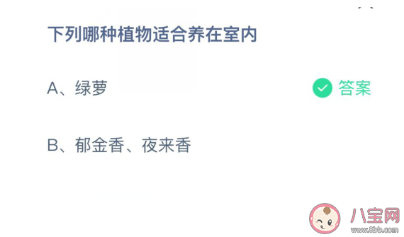哪種植物適合養(yǎng)在室內(nèi)螞蟻莊園 3月25日答案