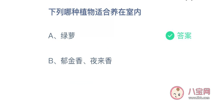 綠蘿和郁金香夜來香哪種植物適合養在室內 螞蟻莊園3月25日問題答案