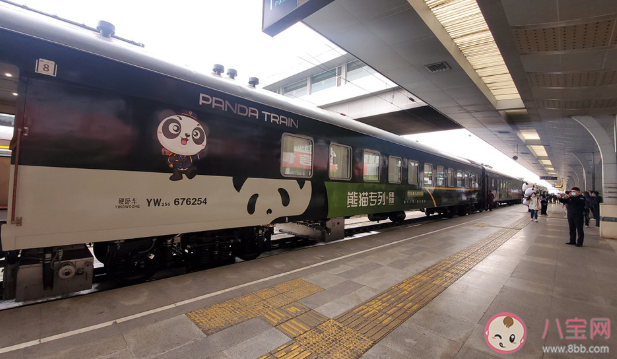 熊貓專列主題列車在哪里購買車票 熊貓專列有哪些亮點服務