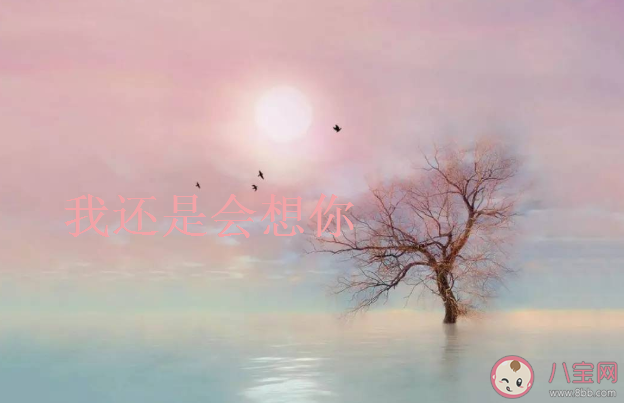 既不能斷干凈又不能和好如初的關(guān)系最難受是什么歌 還是會(huì)想你完整版歌詞在線試聽