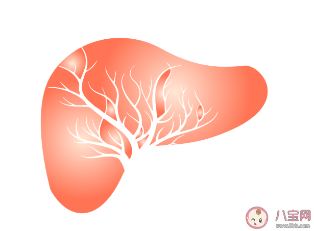 乙肝病毒會(huì)自行清除嗎 乙肝病毒攜帶者和乙肝大三陽(yáng)有什么什么區(qū)別
