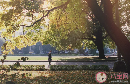 適合春游的朋友圈文案 春天出游的說說句子