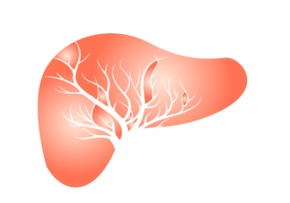 乙肝病毒會(huì)自行清除嗎 乙肝病毒攜帶者和乙肝大三陽(yáng)有什么什么區(qū)別