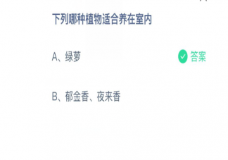 綠蘿和郁金香夜來香哪種植物適合養(yǎng)在室內 螞蟻莊園3月25日問題答案