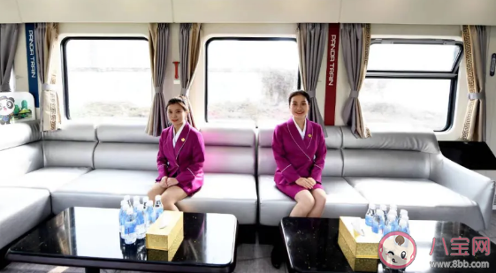 成都熊貓專列有哪些路線 熊貓專列車廂功能介紹