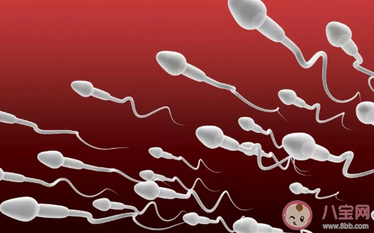 孕期三個月需要做哪些檢查 夫妻備孕的小技巧