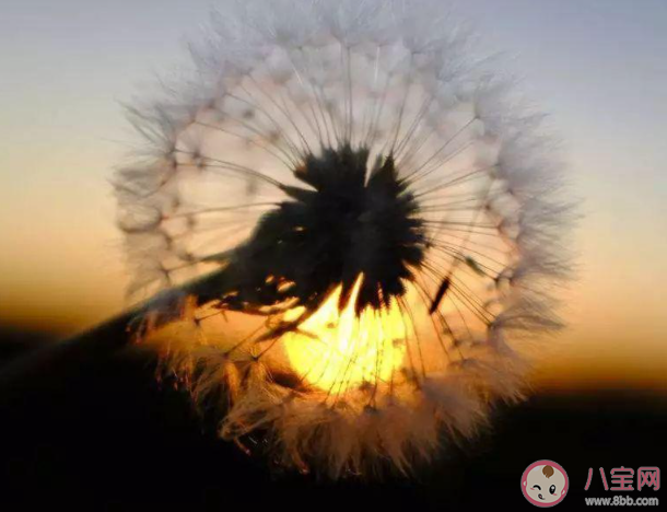 有什么渡過人生低谷的建議 該如何度過人生低谷期 有什么渡過人生低谷的建議 該如何度過人生低谷期