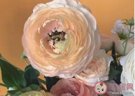 對于前任有哪些遺憾 和前任最遺憾的事情盤點