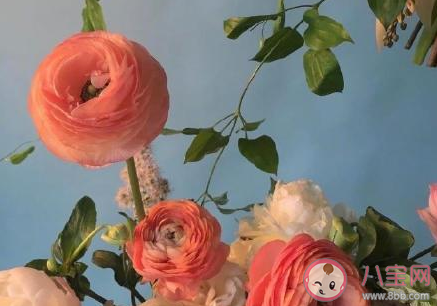 對于前任有哪些遺憾 和前任最遺憾的事情盤點