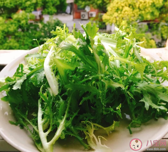 吃苦菊拉肚子怎么回事 涼拌苦菊要焯水嗎
