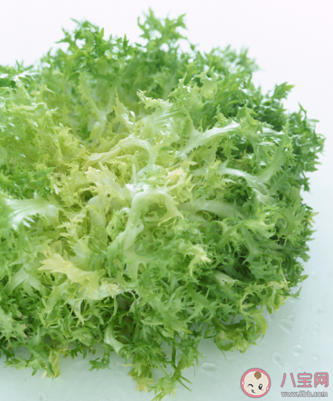 吃苦菊能降血壓嗎 如何正確健康的食用苦菊