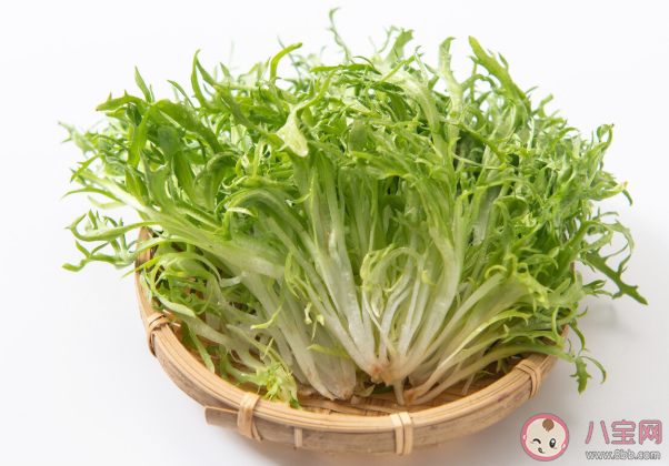 吃苦菊能降血壓嗎 如何正確健康的食用苦菊