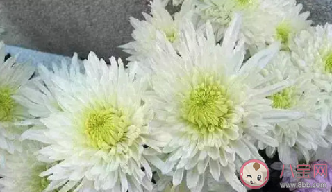 清明節(jié)想念天堂爸媽的傷感說說2021 清明節(jié)懷念已故父母的文案句子2021