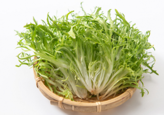 吃苦菊能降血壓嗎 如何正確健康的食用苦菊